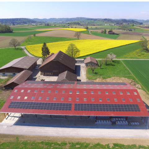 Gutsbetrieb mit Solaranlage im contracting